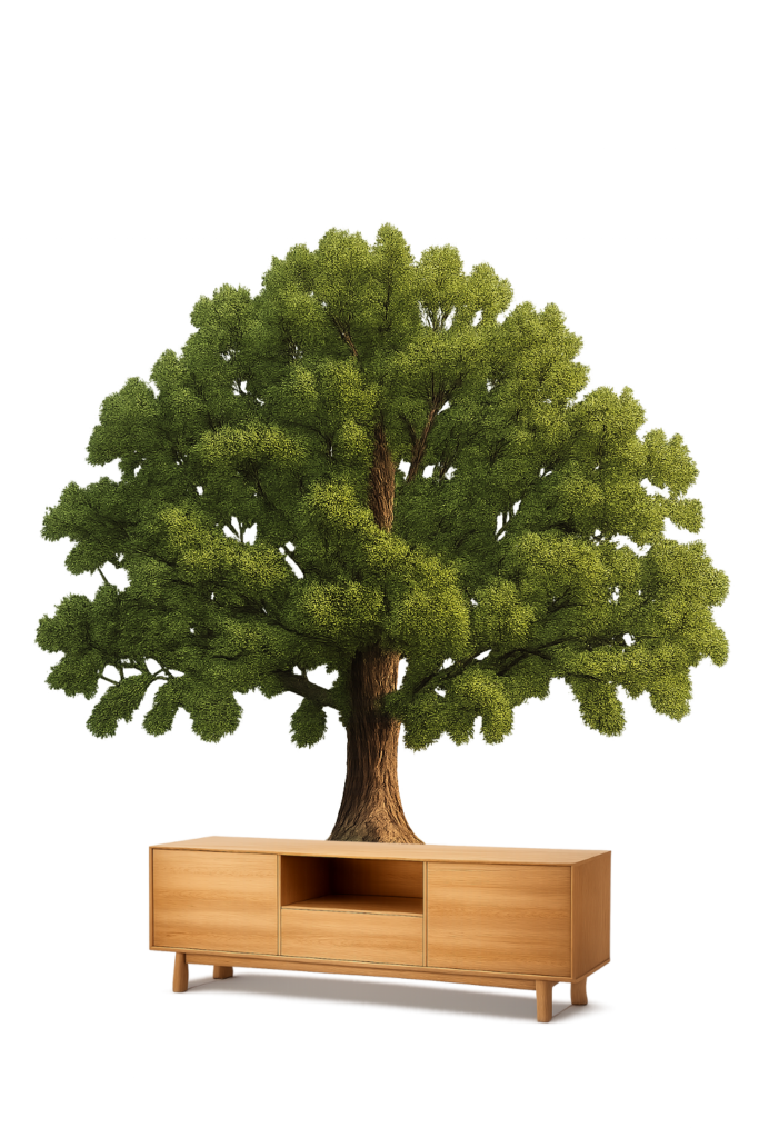 Eiche Baum und Möbel | Manufakturx.de 🛠️